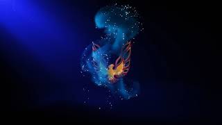 Magical Logo Reveal| VideoHive Templates | After Effects Project Files