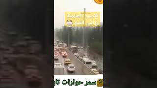 الاميرة الصامتة وراعي الغنم #ترند