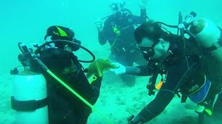 Mergulho em Paraty - Velejando em alto mar