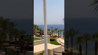 Grand Rotana Resort & Spa 5⭐️ - Beach / Пляж