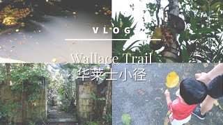 Wallace Trail | Enjoyable day discovering the beauty of Nature | Must go places in Singapore