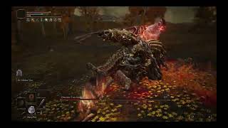 Elden Ring - Draconic Tree Sentinel RL1 (no hit kill)