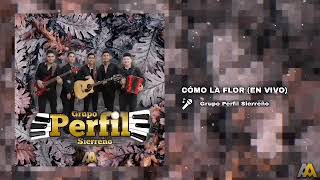 Como La Flor - Perfil Sierreño  (EN VIVO) 2020