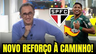 CAVALO SELADO!  RONY fecha ACORDO MILIONÁRIO com o TRICOLOR!   notícias do SÃO PAULO FC!