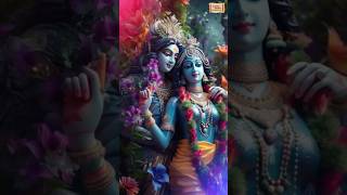 Hare Rama Hare Krishna (Instrumental) | Alap Desai | Krishna Song