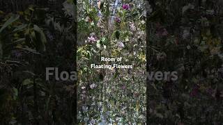 Entering Floating Flowers room in Tokyo teamLab Plantes #teamlabplanets #teamlabplanetstokyo