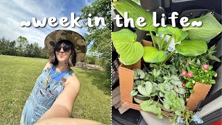 WEEKLY VLOG | big hair chop, working in the garden & more!