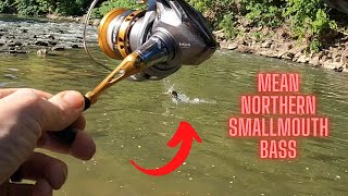 Swimbaits For ULTRA CLEAR Water Smallmouth