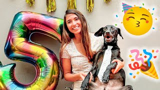 Fiesta de perros 🐶🥳 El cáncer no nos ganará 💪🏼