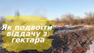 Як подвоїти віддачу з гектара. Секрет успіху одного фермера