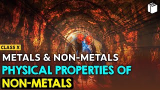 Physical Properties of Non-metals | Chapter 3 | Class 10 | PuStack