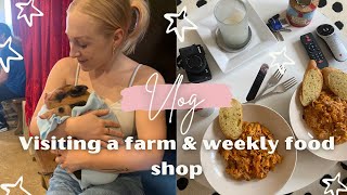 VLOG | HOLDING BABY ANIMALS & FOOD SHOP | EMILY ROSE