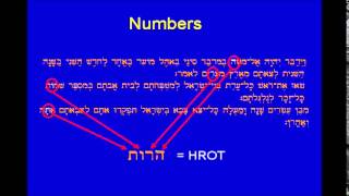 Torah Points To YHWH in Bible Codes