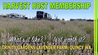 HARVEST HOST MEMBERSHIP | WHAT'S IT LIKE? | RV LIFE | TRINITY GARDENS LAVENDER FARM QUINCY WA -EP184