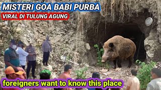 LAGI VIRAL❗warga heboh Lubang misterius siluman babi sering keluar masuk goa ini.