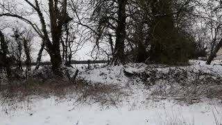 Snow 3 March 2018