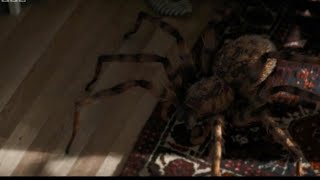 Doctor Who Series 11 Episode 4 Arachnids In The UK Review (2018)