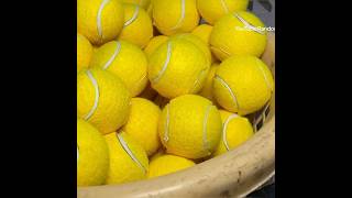 How tennis balls are made in factory