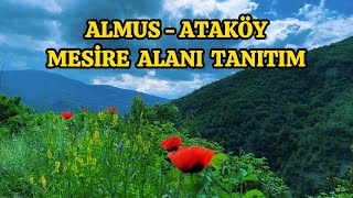 ATAKÖY MESİRE ALANI TANITIM 2023 - ALMUS - TOKAT - TÜRKİYE - ATAKÖY PRESENTATION AREA PROMOTION 2023