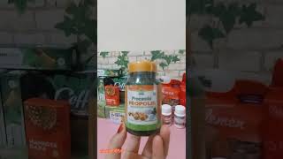 PROCUMIN PROPOLIS HABBATUSAUDA HNI