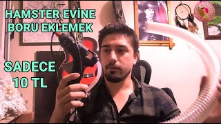 Hamster evine boru ekleyerek canlarımıza daha eğlenceli bir ortam yaratalım! Neredeyse maliyetsiz!