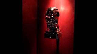 T-800 Endo skull mod.