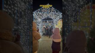 Holiday Lights of Lights I Walk-through experience #shorts #nornnoyvlogs  #nightsoflights