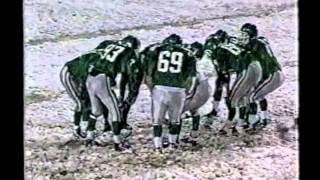 October 1999 Faribault Falcons Homecoming Game - Part 2