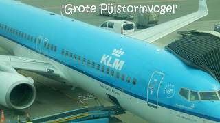 Flight report ✈ B737-8: KLM to Milano Malpensa airport (MXP) 2017.