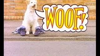 WOOF! Episode 1 Season 7