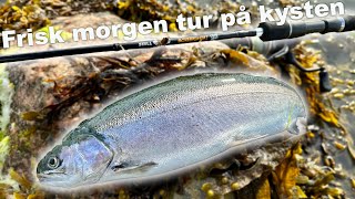 Morgen frisk efter Havørred ☀️ Horn og regnbue 🎣