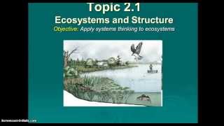 Ecosystems Topic2 1