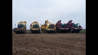 Największa kampania buraczana w Polsce 2020 |3x ROPA 2x HOLMER & 2x JOHN DEERE|