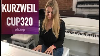 Kurzweil CUP 320 Andante - обзор