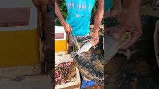 Village Fishing Industry Tilapia Fish Cutting Skills #shorts