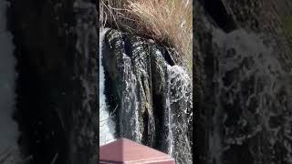 Duden water fall beautiful Antalya 💁‍♀️💃       #viral #short