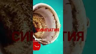 НА ПОРОГЕ , ПРИ ДОРОГЕ, ПО СУДЬБЕ, ПРЯМО СЕЙЧАС 😲 #shorts #гадание #youtube