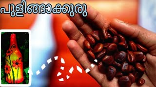 bottle art malayalam for  beginners|how designing bottle |bottle crafting malayalam.