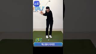 [신한 SOL페이 디스커버] 박하림 프로의 Let's pLay Golf – 숏게임 완전정복 편 #shorts