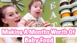 DIY HOMEMADE BABY FOOD || HOW TO