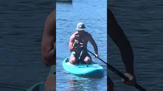 Drowning Wallaby Rescue On Paddle Board