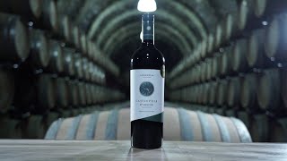 Jammertal Wine Estate Villány - Cassiopeia MERLOT 2012