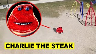 DROHNE überwacht CHARLIE the STEAK in REAL LIFE um 3 UHR mittags (e e ei meme)