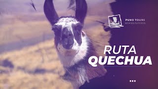 TOUR RUTA QUECHUA "LARGA" | Sillustani - Lampa y Pukara