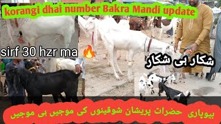 korangi dhai number bakra mandi shikar hi shikar latest update|September 15, 2024