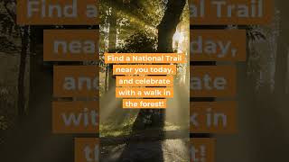 Celebrate National Trails Day in the Forest 🌳 #trails #forest #explore