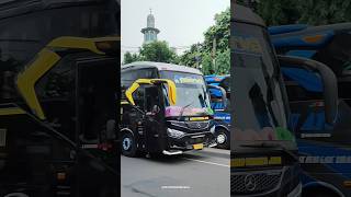 Po sudiro tungga jaya stj apoorva #busmania #bus #shorts