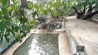 Baijnath Mahadev Beautiful😍😍 Temple In Pushkar | बैजनाथ धाम🔥 | Unseen Ajmer #3 | Ancient Shiv मंदिर