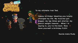 Birthday Fun - Animal Crossing New Horizons