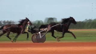 Harness Hawkinsville